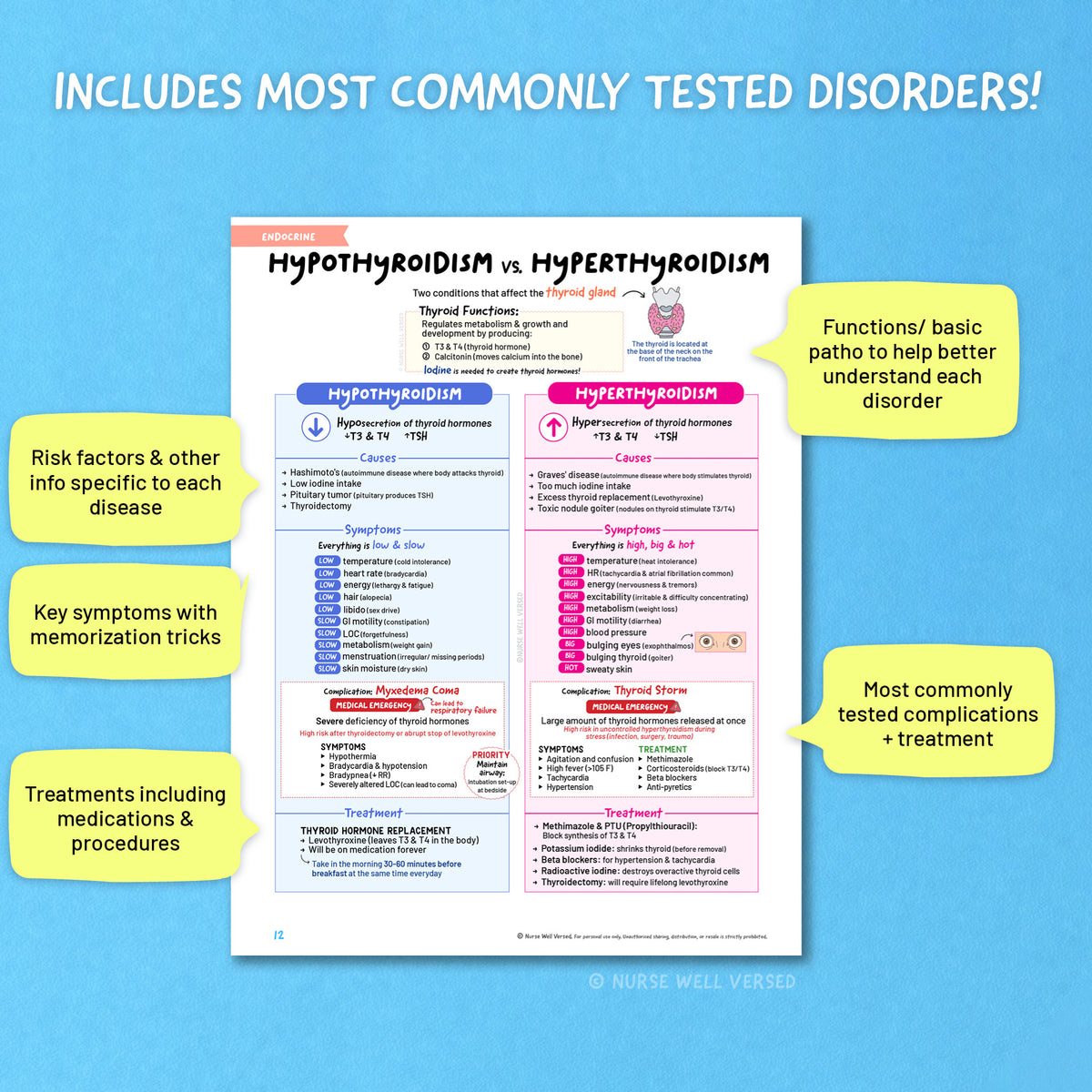 Endocrine Study Guide | E-Book