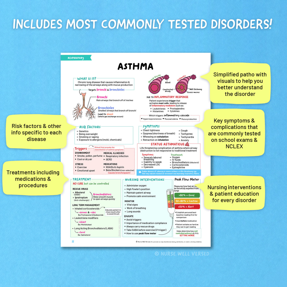 Respiratory Study Guide | E-Book
