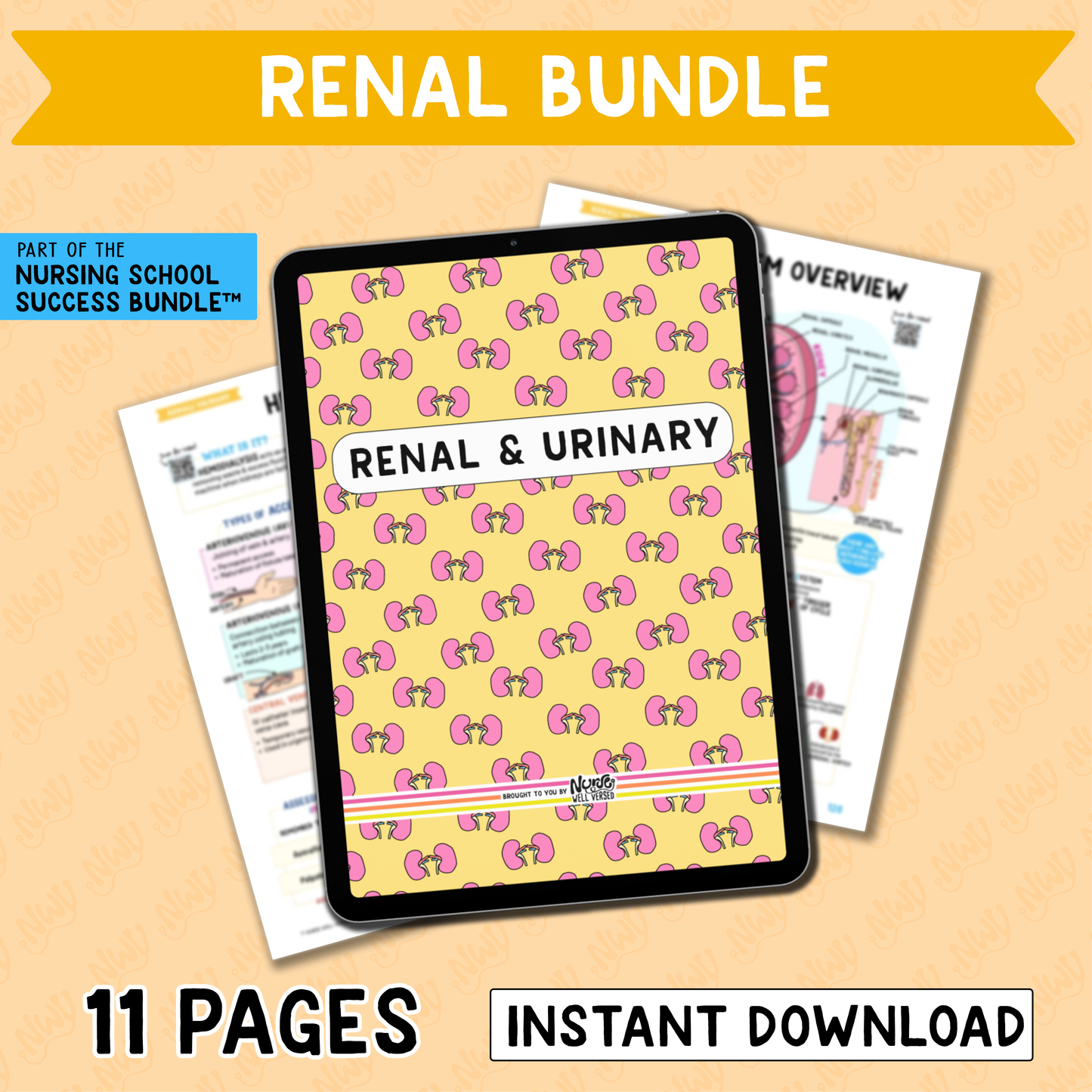 Renal Bundle