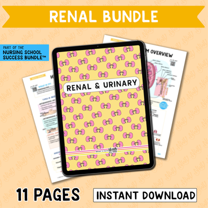 Renal Bundle