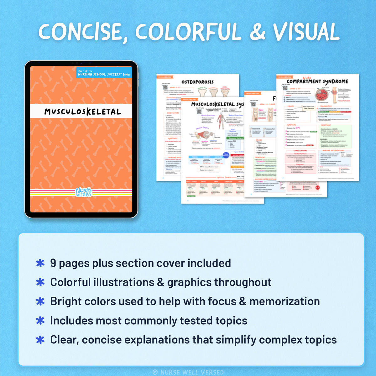 Musculoskeletal Study Guide | E-Book