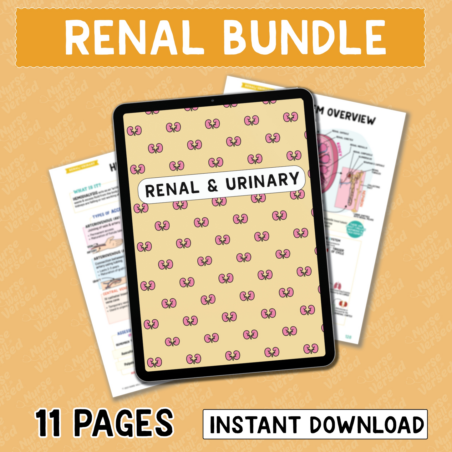 Renal Bundle