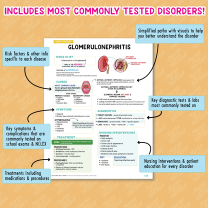 Renal Bundle