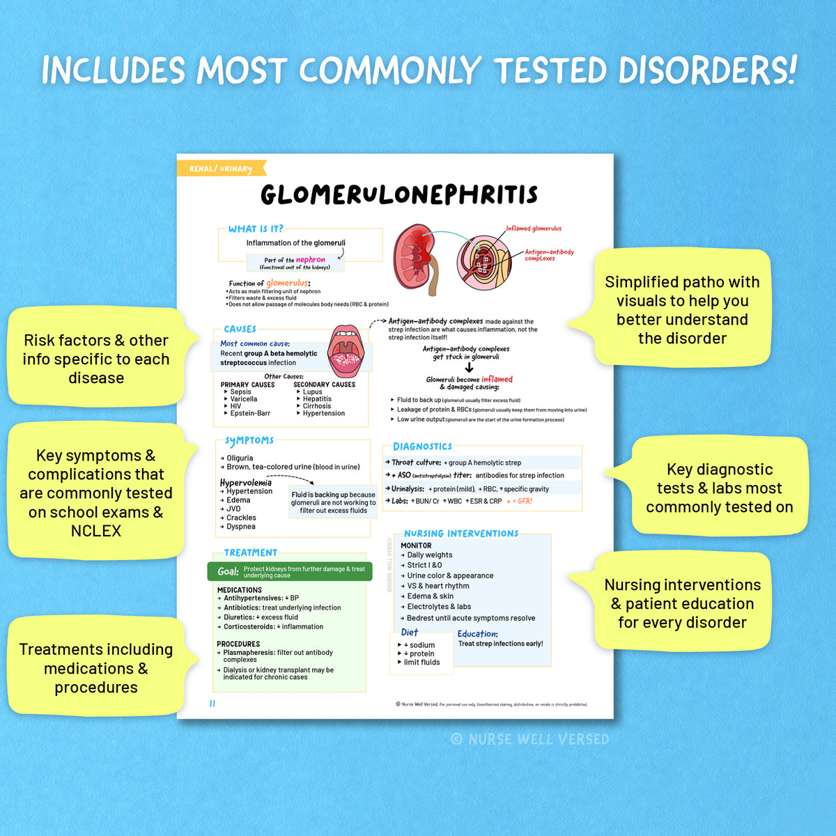 Renal Study Guide | E-Book